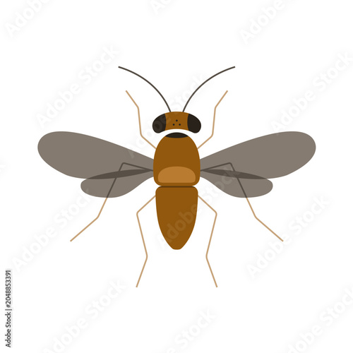House Fly Vector Illustration Isolated Flying Insect Clipart