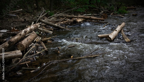Closed river section due to accumulated wood logs and floating debris