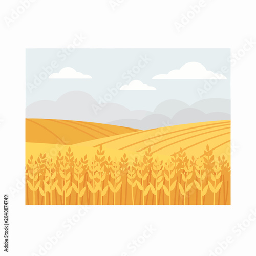 Foto A golden wheat field under a soft and cloudy blue sky