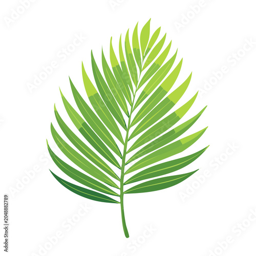 Green palm leaf illustration