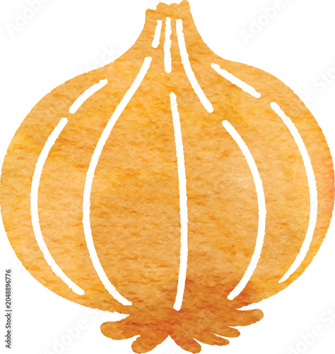 Watercolor onion vegetable icon simplified