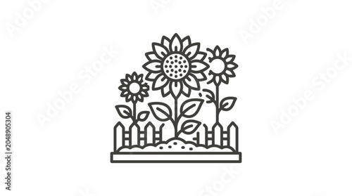 Quadro su tela Three sunflowers blooming behind garden picket fence line art.