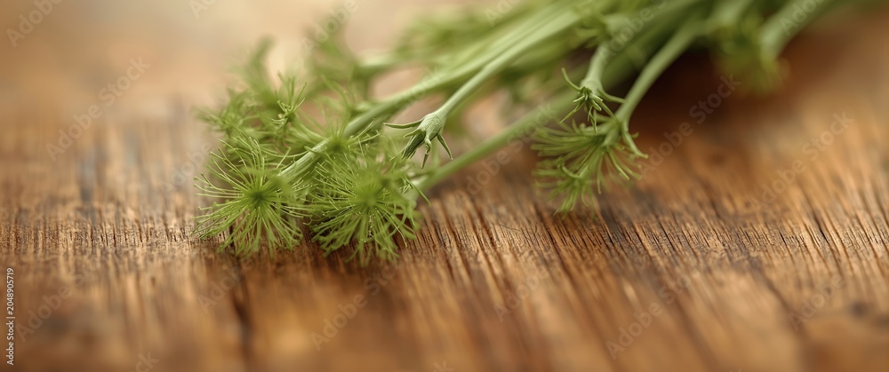 Fototapeta premium Wooden tabletop with dandelion root extract closeup highlighting natural green healing properties