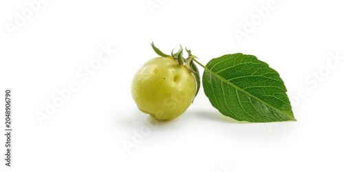 Indian Gooseberry fruit iso...