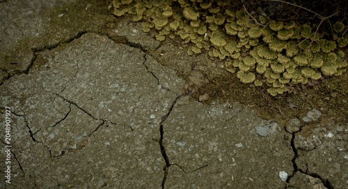 Rough cracked concrete surf...