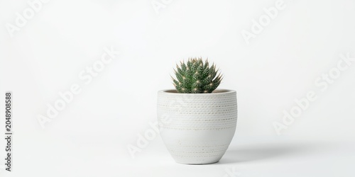 Refined white flowerpot fea...