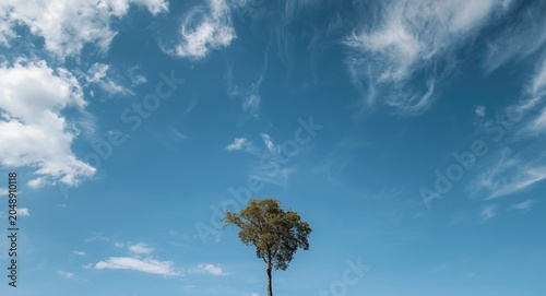 Lone tree standing tall ben...