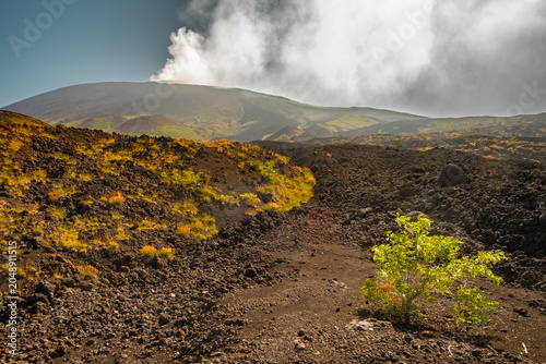 Smoking Volcano Landscape