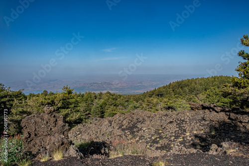 Volcanic Forest View