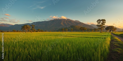 Still natural vista of heal...