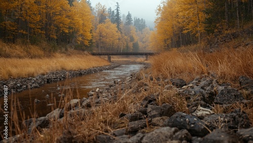 Yellow autumn woods and a r...