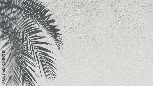 Palm leaf shadow, stucco background, palm leaf shadow background, stucco paint background, simple 3d, simple 3d background 3