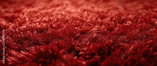 macro view of red carpet fi...