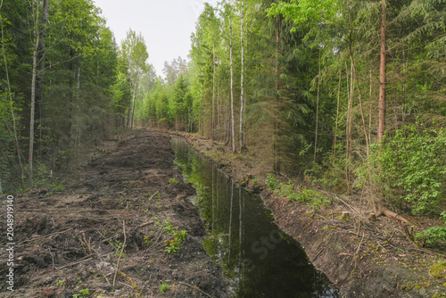 Cuadro en lienzo Forest Drainage Ditch Cutting Through Woodland in Latvia