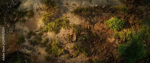 Rustic stone surface featur...