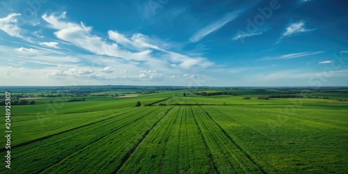 Expansive summer terrain observed from aerial vantage point