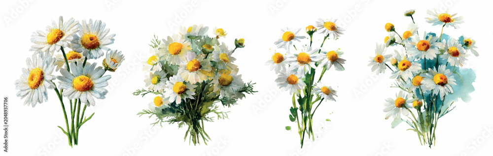 Fototapeta premium Watercolor bouquet of white daisies with yellow centers and green stems, delicate and cheerful floral arrangement on a clean background for spring or nature design