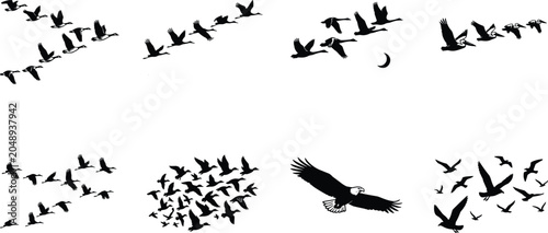 Obraz na płótnie Flock of flying birds silhouette set featuring migrating geese in v formation so
