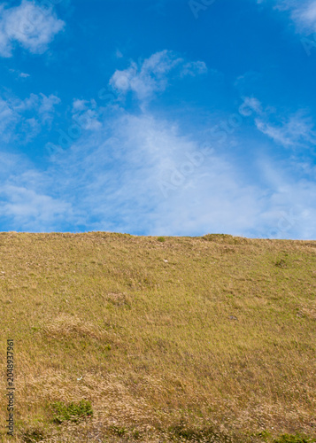 field and sky