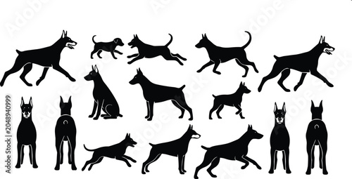 Foto Black doberman pinscher dog silhouettes set with various poses including running