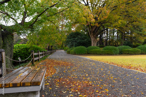 Shinjuku Gyoen National Garden is a large park and garden in Shinjuku and Shibuya, Tokyo, Japan.
