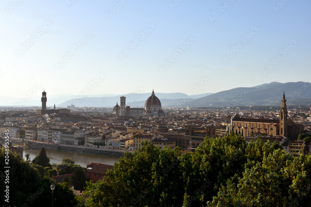 Fototapeta premium City view of Firenze(Florence), Italy, Europe