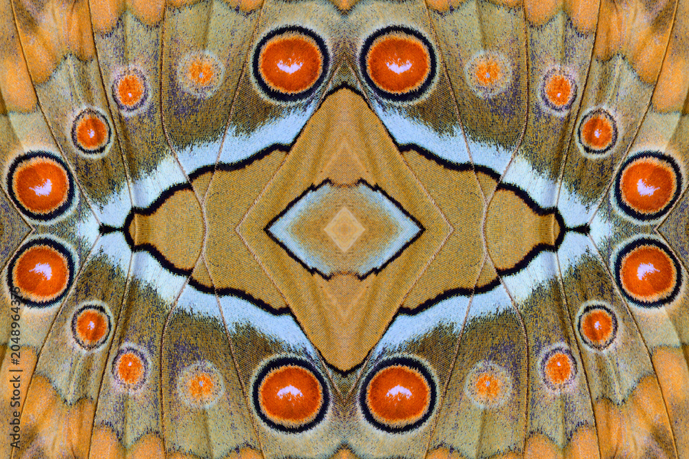 Obraz premium orange spots background made of simese junglequeen wing scales with orange oval and black circle contains white heart