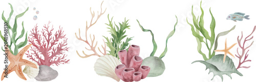 Photography Watercolor underwater life elements set, marine collection with corals, seaweed, seashells and starfish, ocean reef clipart for summer design