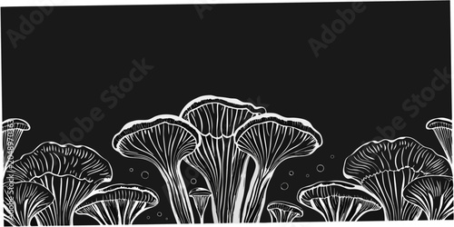 Bild auf Leinwand White Linework Mushroom Illustrations Against A Dark Background