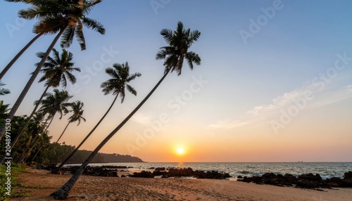 Palm trees on a tropical beach.