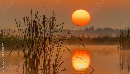 Sunset Over Calm Wetlands Marsh with Reflective Water and Silhouetted Reeds