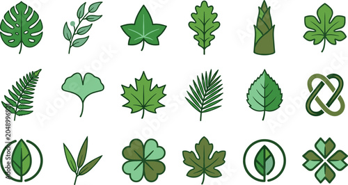 Botanical Leaf Icon Collection Featuring Monstera, Ivy, Oak, Maple, Ginkgo, Fern, Palm, and Eco Nature Symbols