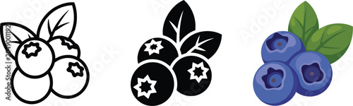 Foto Blueberry icon featuring black currant symbol, bilberry vector illustration, ripe blue berry sign, juicy berry pictogram, and healthy nourishment concept