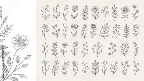 Floral ornament collection features delicate line art illustrations of flowers leaves and botanical elements on a beige background flower blossom