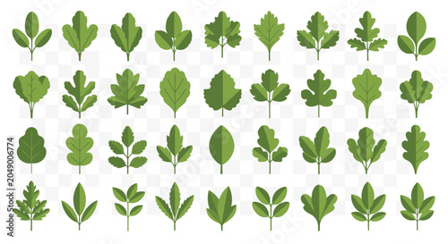 Extensive collection of diverse green leaf shapes and foliage patterns shown in a clean grid arrangement for botany study.