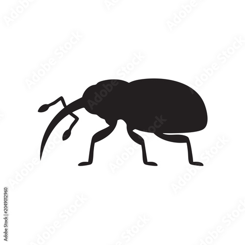 Weevil Glyph Icon Black Silhouette Long Snout Flat Design Vector