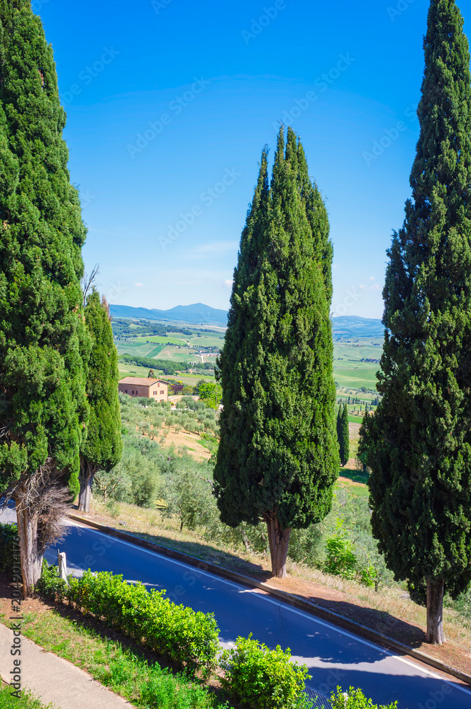 Naklejka premium Panoramic view of the hills and countryside surrounding the village of Pienza (Tuscany village, Italy) seen from its medieval fortified walls, during early summertime.