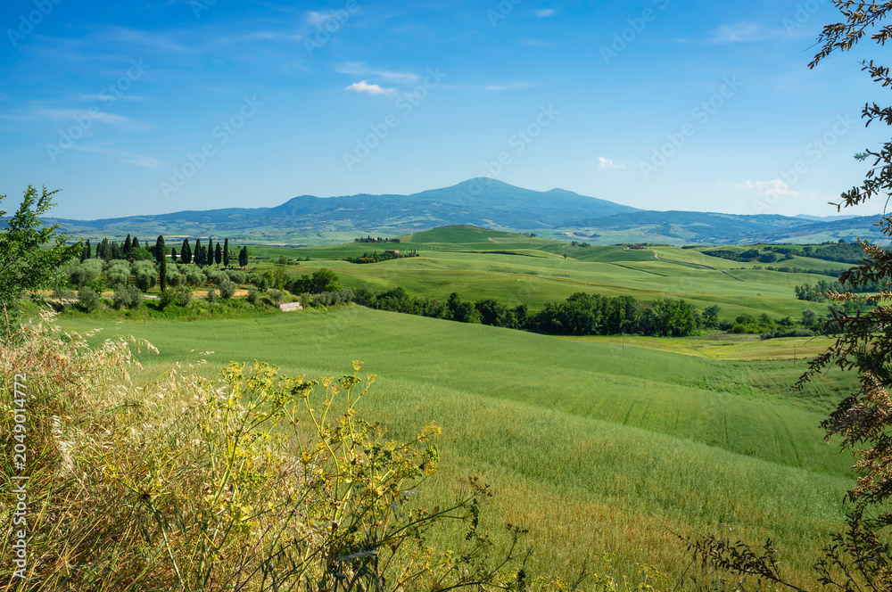 Naklejka premium Panoramic view of the hills and countryside surrounding the village of Pienza (Tuscany village, Italy) during early summertime.