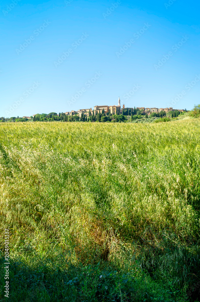 Naklejka premium Panoramic view of the hills and countryside surrounding the village of Pienza (Tuscany village, Italy) during early summertime.