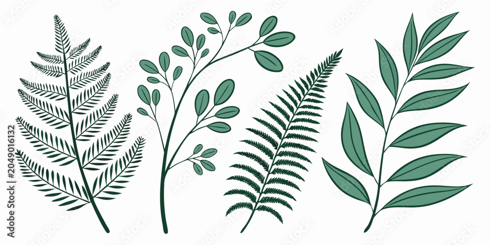 Fototapeta premium Collection of hand drawn ferns and leafy botanical branches with botanical branches collection illustration isolated plantlife ornamental background decorative stylized designasset greenery