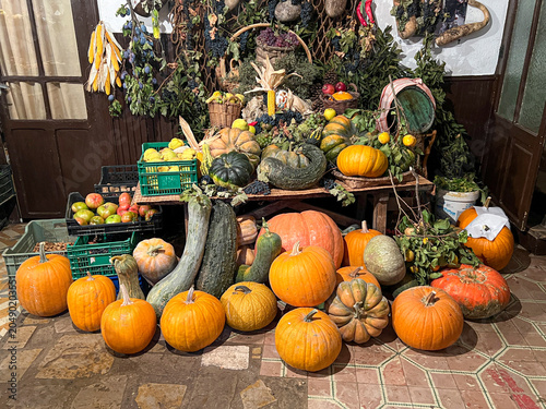 Calabazas naranjas y verduras de otoño frescas, Fresh orange pumpkins and autumn vegetables, Frische orange Kürbisse und Herbstgemüse, 新鮮なオレンジ色のカボチャと秋野菜, Citrouilles orange et légumes d’automne frais,