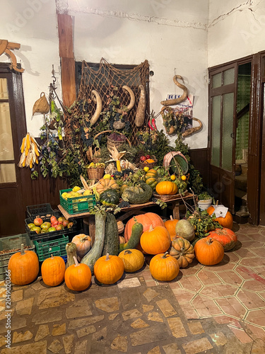 Calabazas naranjas y verduras de otoño frescas, Fresh orange pumpkins and autumn vegetables, Frische orange Kürbisse und Herbstgemüse, 新鮮なオレンジ色のカボチャと秋野菜, Citrouilles orange et légumes d’automne frais,