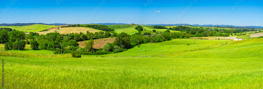 Naklejka premium Early summer panorama of the Orcia Valley. It's a countryside area in Tuscany (Italy), between Siena and Grosseto Provinces, world famous for its iconic landscapes, frequently used as movie locations.