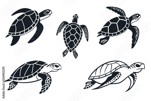 Five sea turtles swimming in ocean water