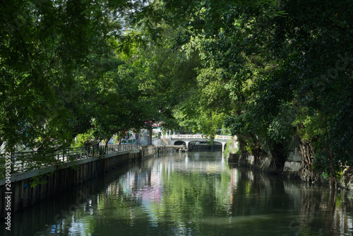The large drainage canal is lined on both sides with big trees.