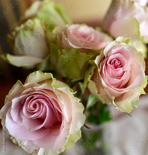 COLORFUL ROSES IN A VASE ON THE TABLE