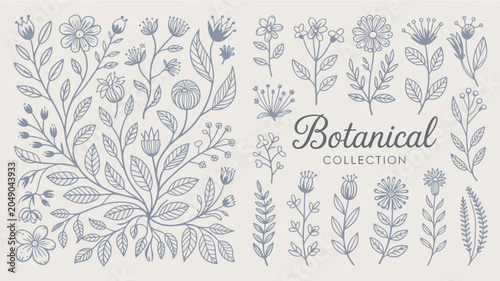 Fényképezés Botanical collection featuring delicate line art illustrations of various leaves