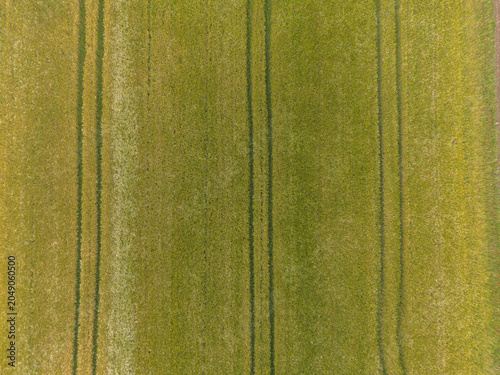 Rotselaar, Belgium. Top-down aerial drone view of agricultural crop field with tractor lines and textured farmland pattern