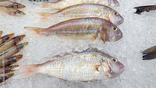 Fotografie Fresh threadfin bream with pink-silver scales and yellow stripes on crushed ice at a supermarket seafood counter