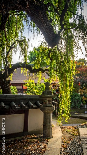 Serene scene of a traditional garden with lush greenery and stone accents